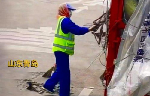 保洁大妈高速偷海带后续，司机无奈 抓到也没法负责