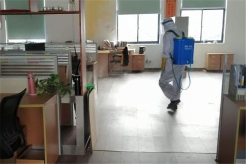 北京大兴食品厂虫控消毒、除臭虫服务与保洁服务收费标准解析
